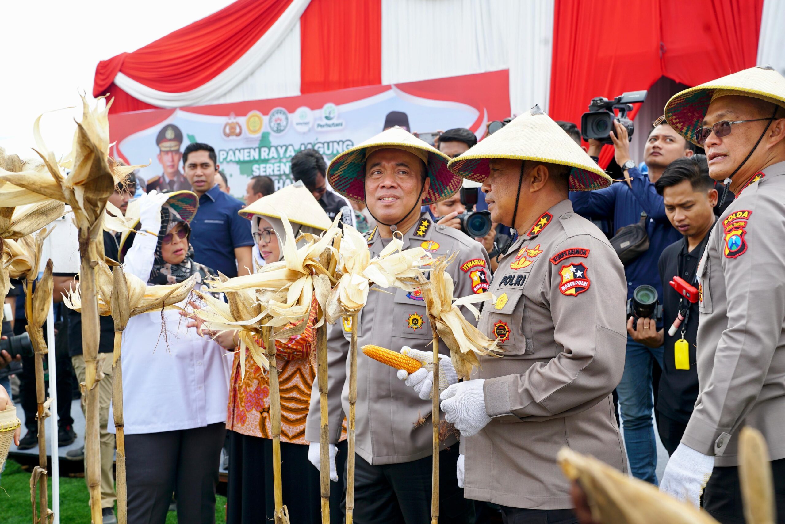 Irwasum Polri Pimpin Panen Jagung Serentak di Madiun,Wujudkan Astacita