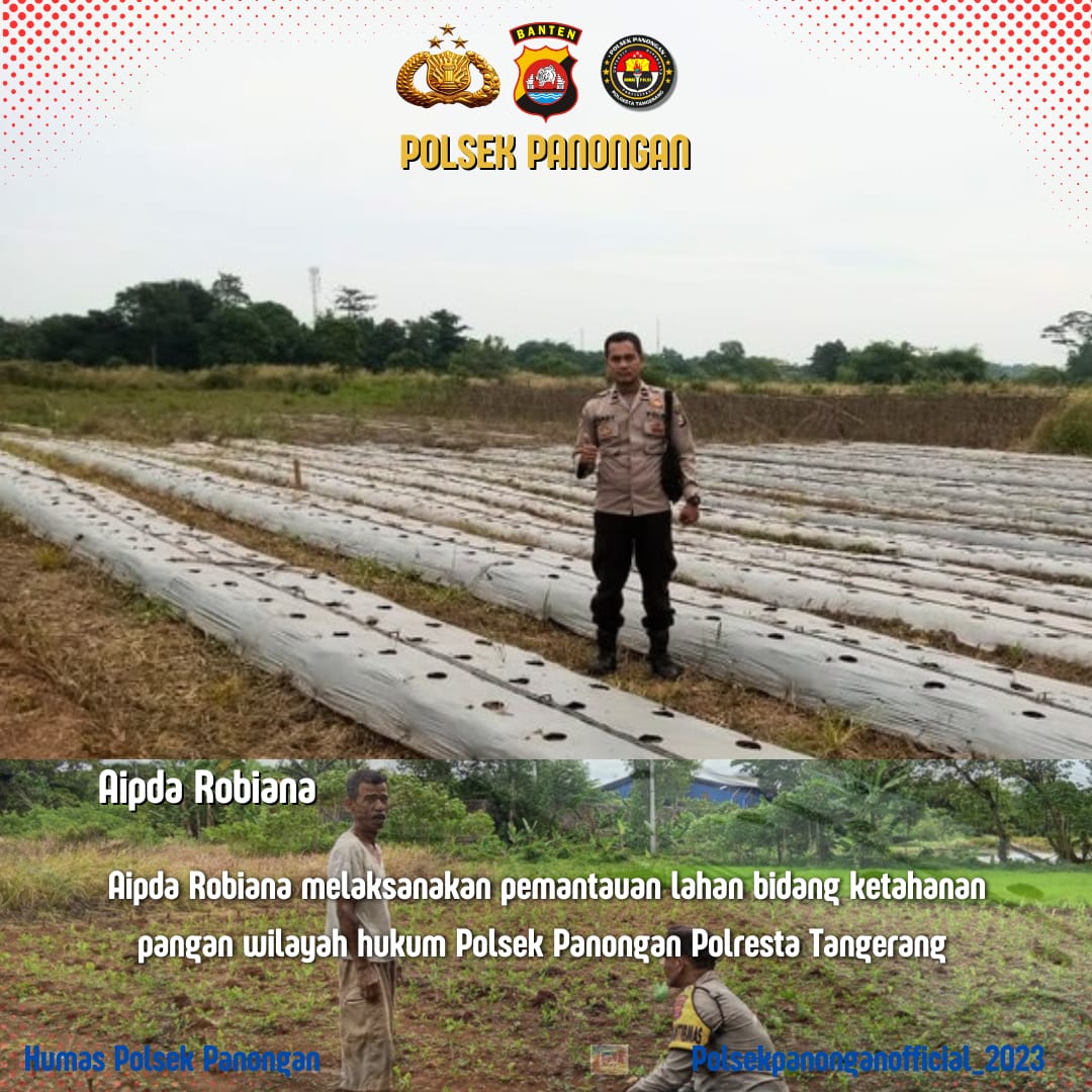 Wujud Nyata Dukung Ketahanan Pangan, Bhabinkamtibmas Desa Peusar Cek Lahan Penanaman Jagung