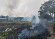 Tim Patroli Security dan Damkar Berhasil Padamkan Kebakaran Lahan Kosong di CitraRaya