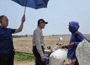 Sawah Karawang Kering Tiga Bulan, Menteri PU Minta Kepala BBWS Citarum Dicopot