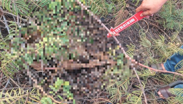 Update Kerangka Manusia di Puri Jaya, Polisi Dalami Identitas Korban Lewat Tes DNA