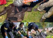 Persoalan Angsuran Berujung Maut, Pria di Way Tenong Serahkan Diri Usai Bunuh Korban